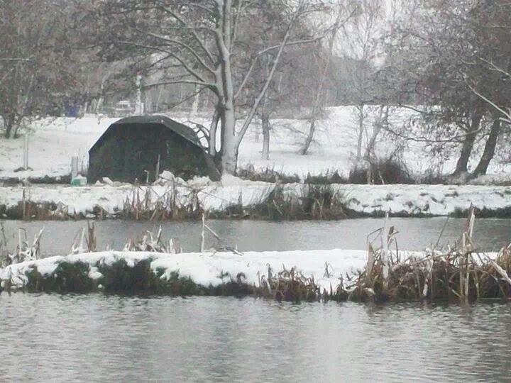 Diverse - img53304314925627.jpeg